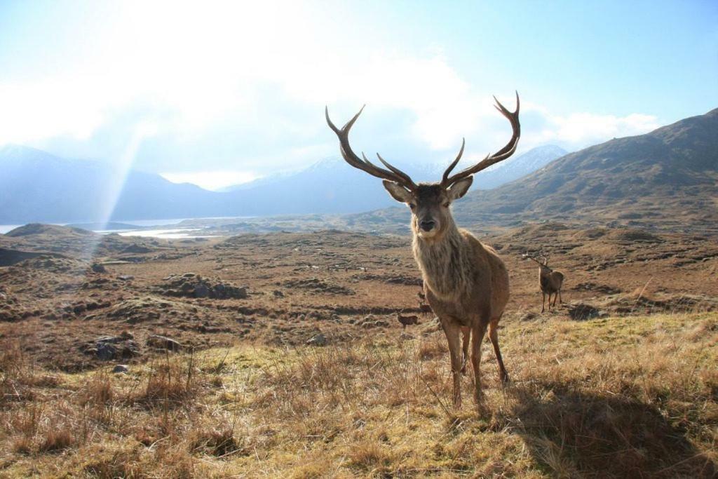 Glencroft A Fairytale Highland Cottage Aberfeldy Bagian luar foto